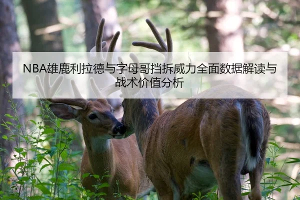 xiong-lu-li-la-de-yu-zi-mu-ge-dang-chai-wei-li-quan-mian-shu-ju-jie-du-yu-zhan-shu-jia-zhi-fen-xi-2-281.jpg