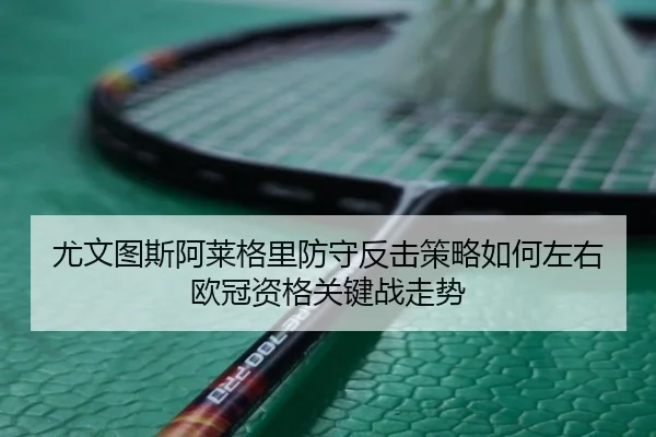 you-wen-tu-si-a-lai-ge-li-fang-shou-fan-ji-ce-lve-ru-he-zuo-you-ou-guan-zi-ge-guan-jian-zhan-zou-shi-2-504.jpg