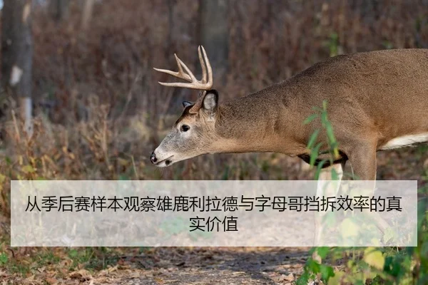 从季后赛样本观察雄鹿利拉德与字母哥挡拆效率的真实价值