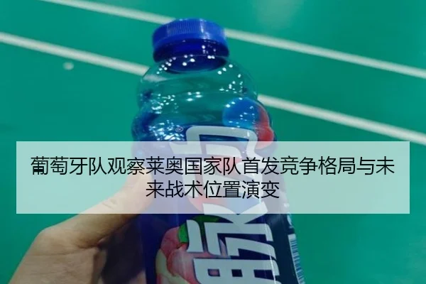 葡萄牙队观察莱奥国家队首发竞争格局与未来战术位置演变