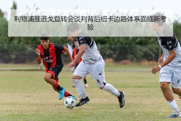 img_1783703648448_4596_1_441.jpg